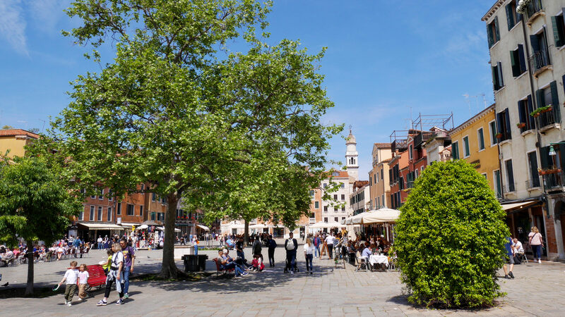 Campo Santa Margherita : Vegetation is rare in Venetian campos, but here a couple of trees offer welcome shade from the summer sun.