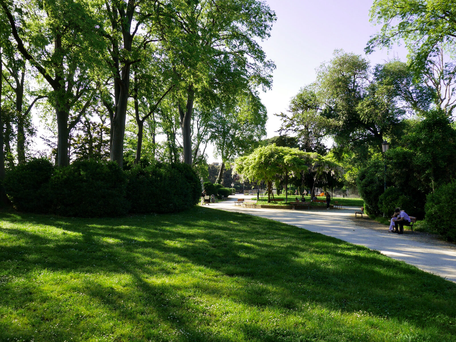 Biennale Gardens : Inside the gardens, the lush greenery offers a refreshing contrast to the city's usual palette.