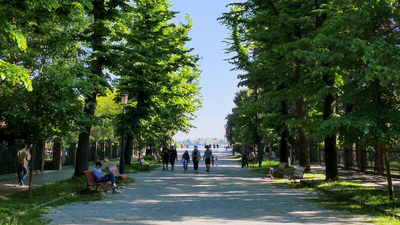 Biennale Gardens : And the wide paths contrast with the city's narrow alleys.