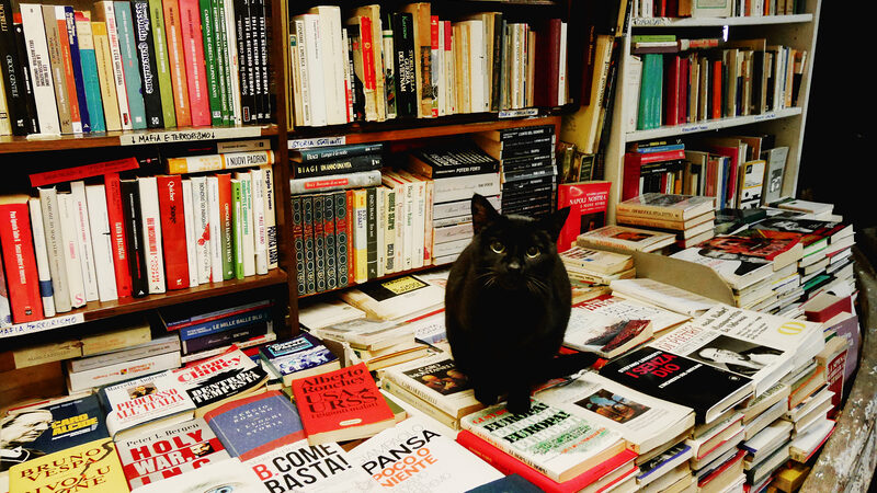 Libreria Acqua Alta : Well-known for its resident cats