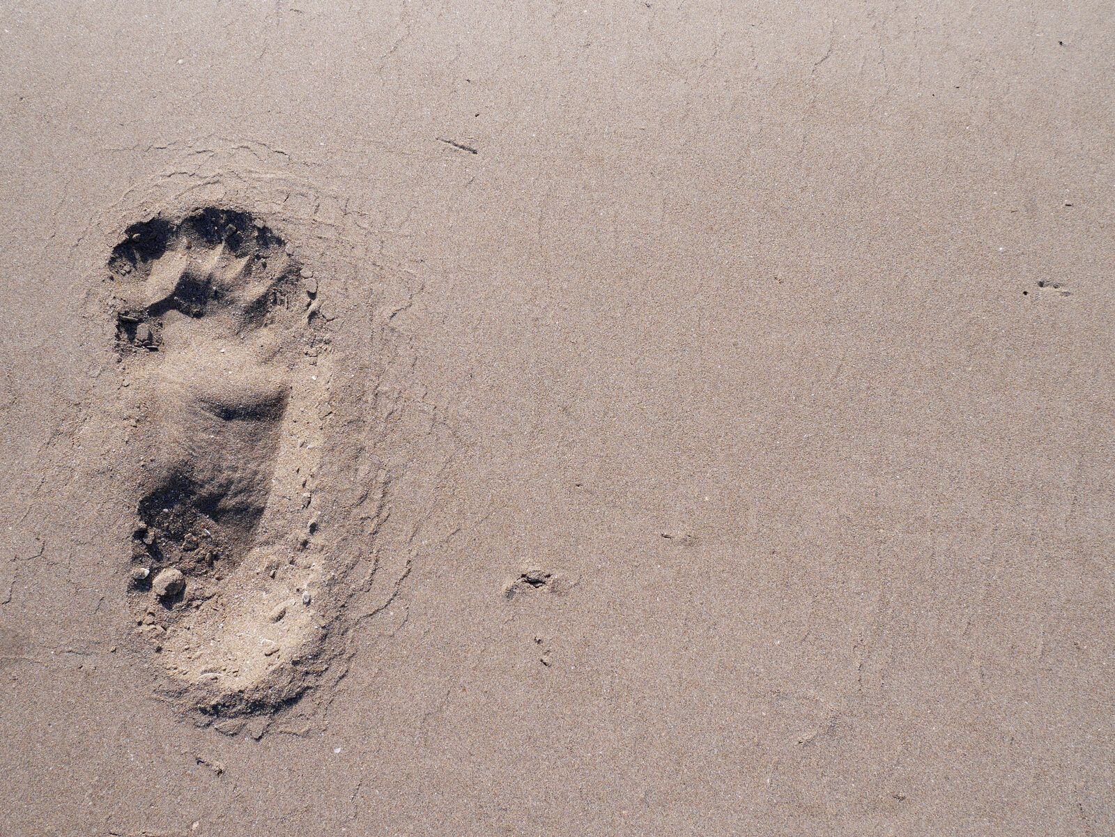 Lido : The sand is soft and fine-grained: perfect for a barefoot stroll or for kids eager to start building sandcastles