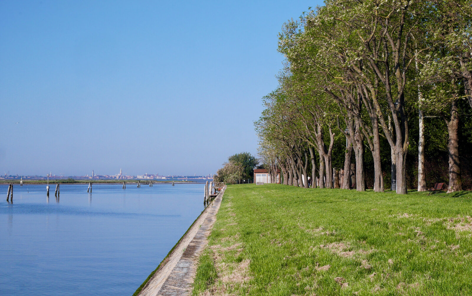 Mazzorbo : Follow the shaded path on the right, or along the shore, and Venice will appear far off in the background