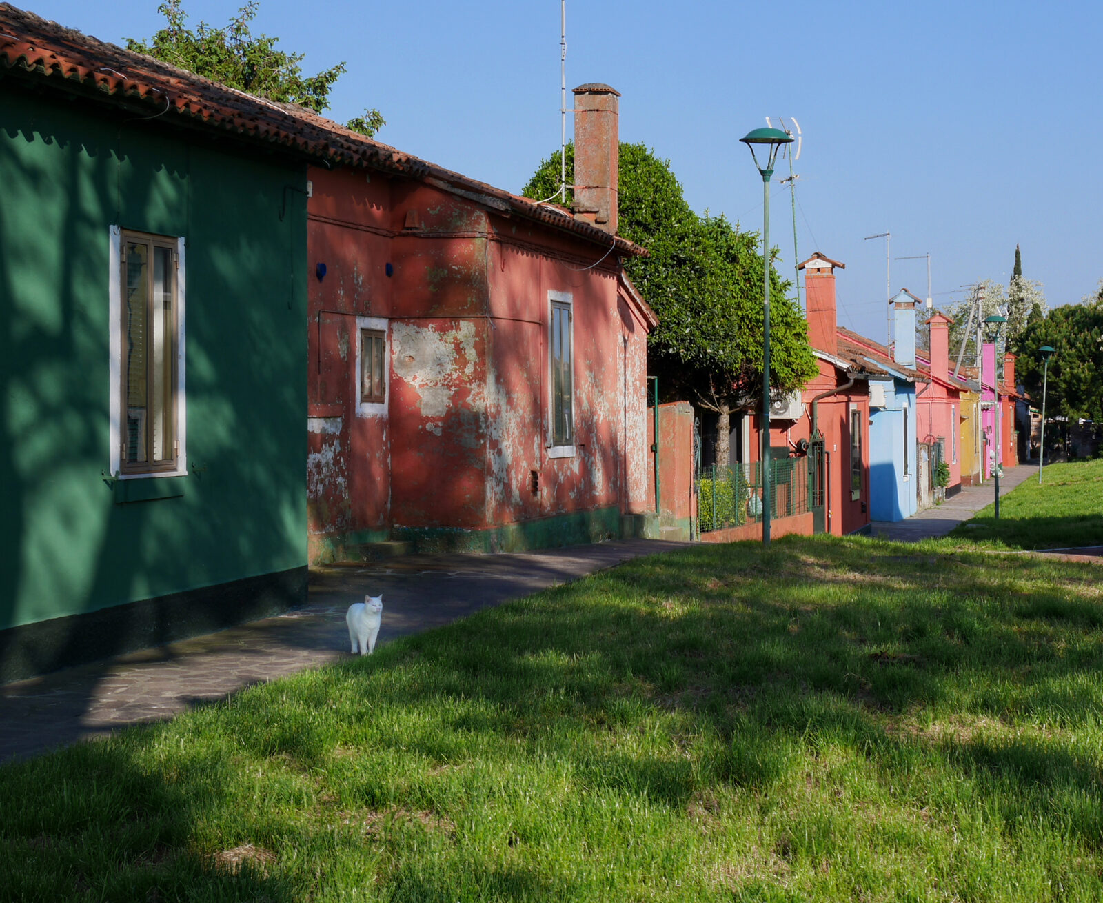 Mazzorbo : Like Burano, Mazzorbo also has a few colorful houses, though they have a more rustic feel