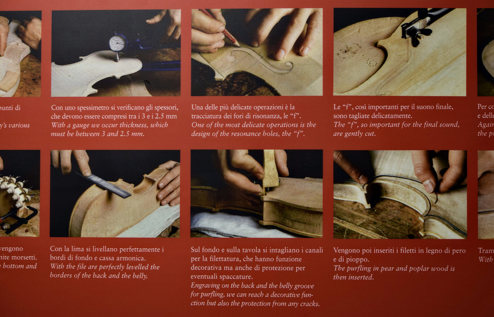 Museo della Musica : Panel illustrating the steps involved in crafting a violin
