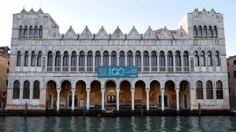 Muzeum Historii Naturalnej : Muzeum mieści się w zabytkowym Fontego dei Turchi i oferuje widok na Canal Grande
