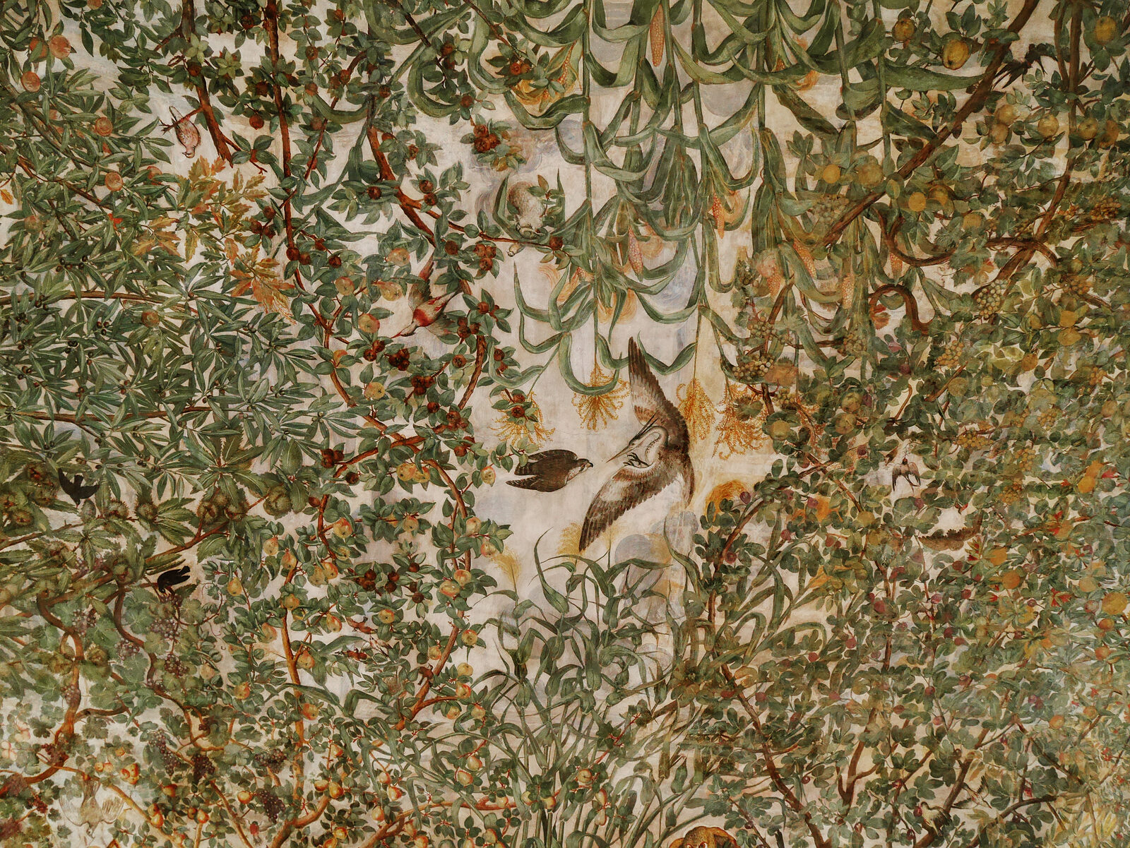 Palazzo Grimani : At that time, certain depicted species were regarded as exotic since they had only recently arrived from the New World