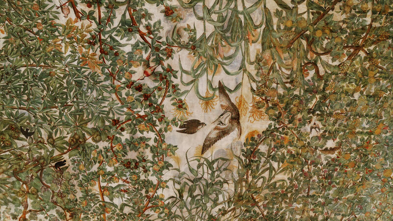 Palazzo Grimani : At that time, certain depicted species were regarded as exotic since they had only recently arrived from the New World