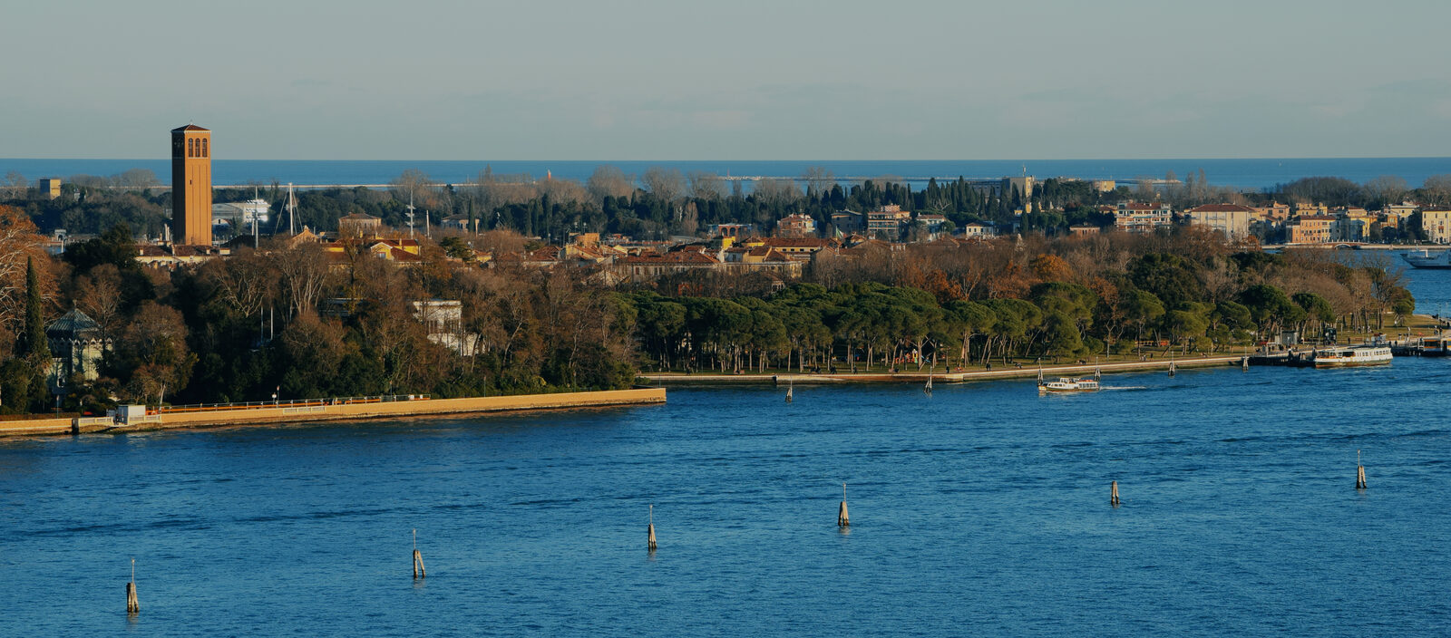 Parco delle Rimembranze : The iconic pine trees, right of Giardini della Biennale, as seen from the bell tower of San Giorgio Maggiore