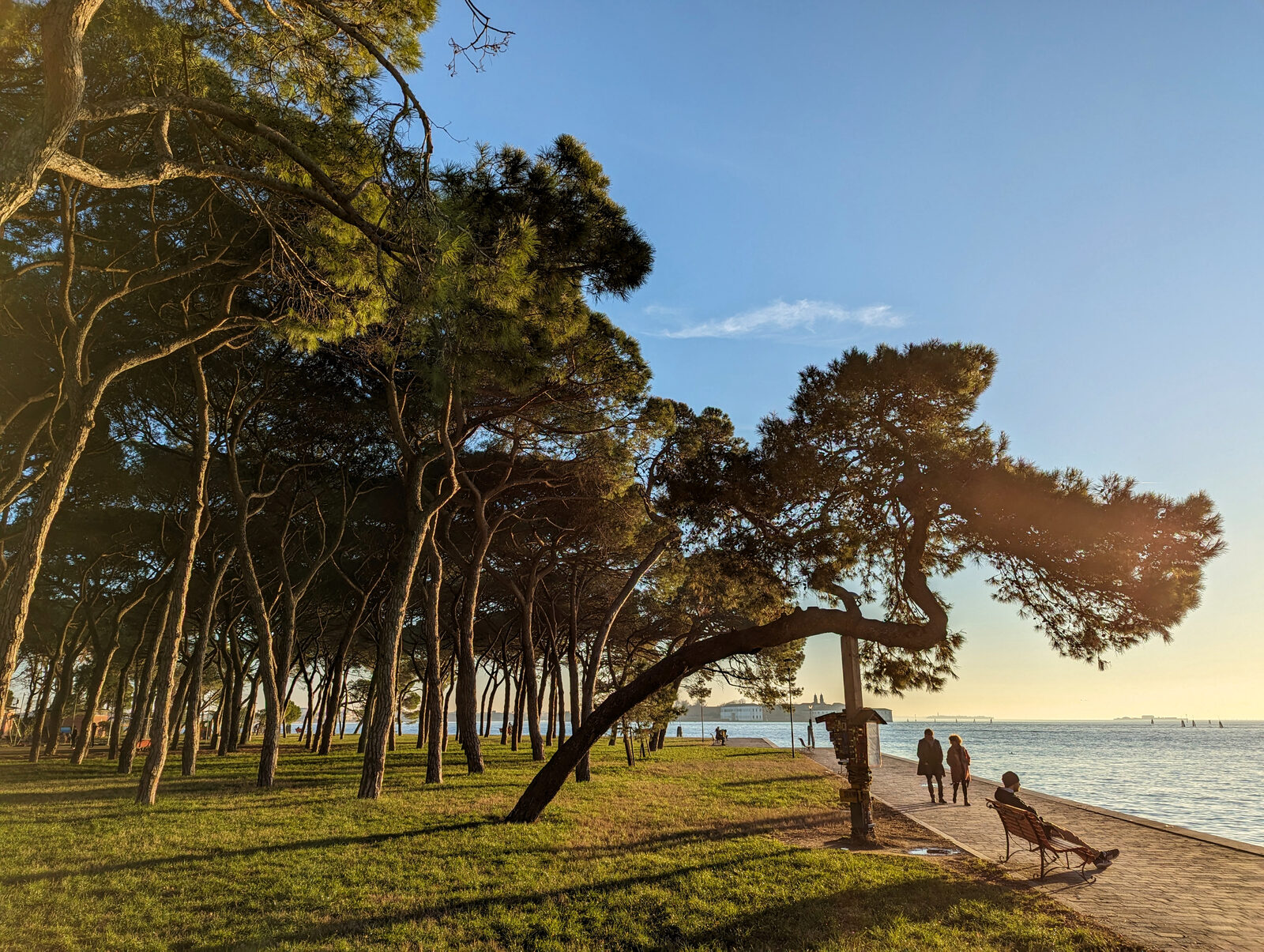 Parco delle Rimembranze : The park is characterized by its unique umbrella pine trees, which offer a shaded retreat in the midst of a bustling urban setting
