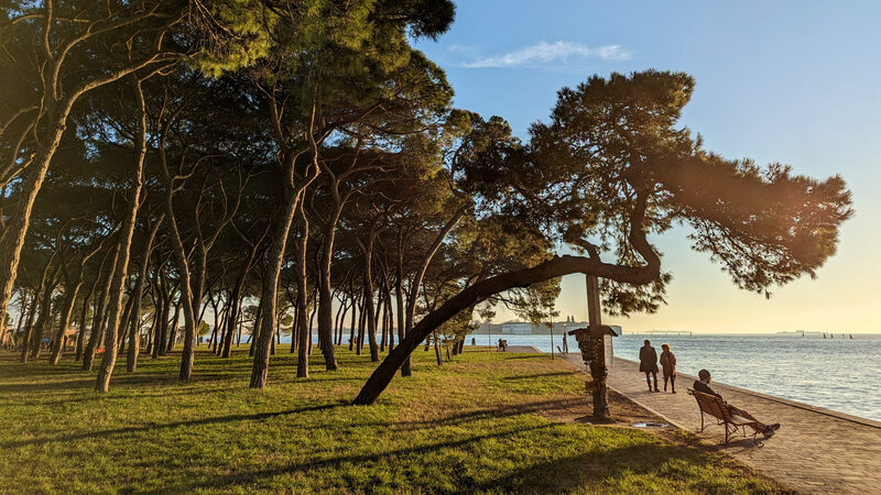 Parco delle Rimembranze : The park is characterized by its unique umbrella pine trees, which offer a shaded retreat in the midst of a bustling urban setting