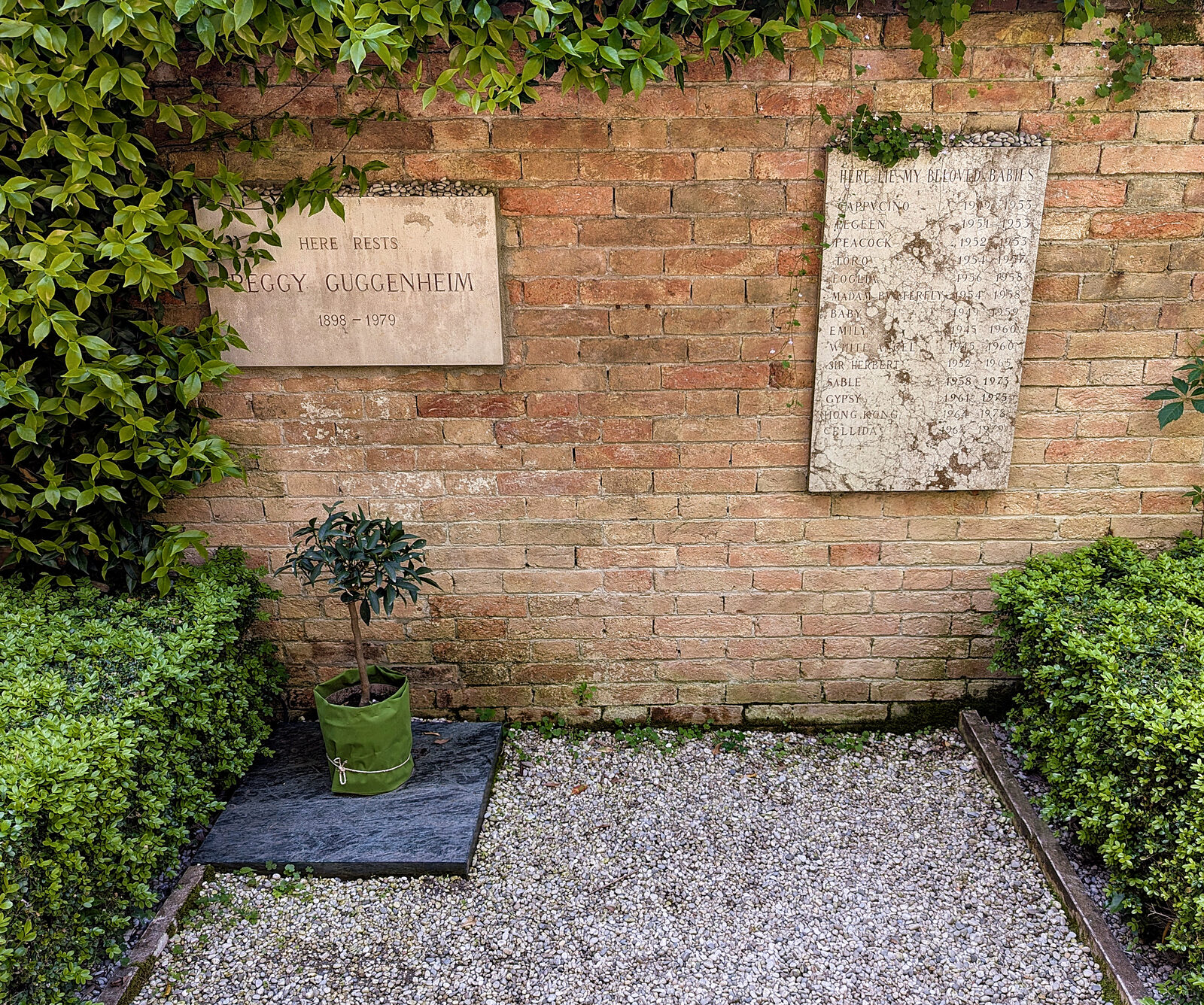Peggy Guggenheim Collection : It must be a truly special - and rare - museum where the curator, along with her cherished pets, rests forever within its very walls