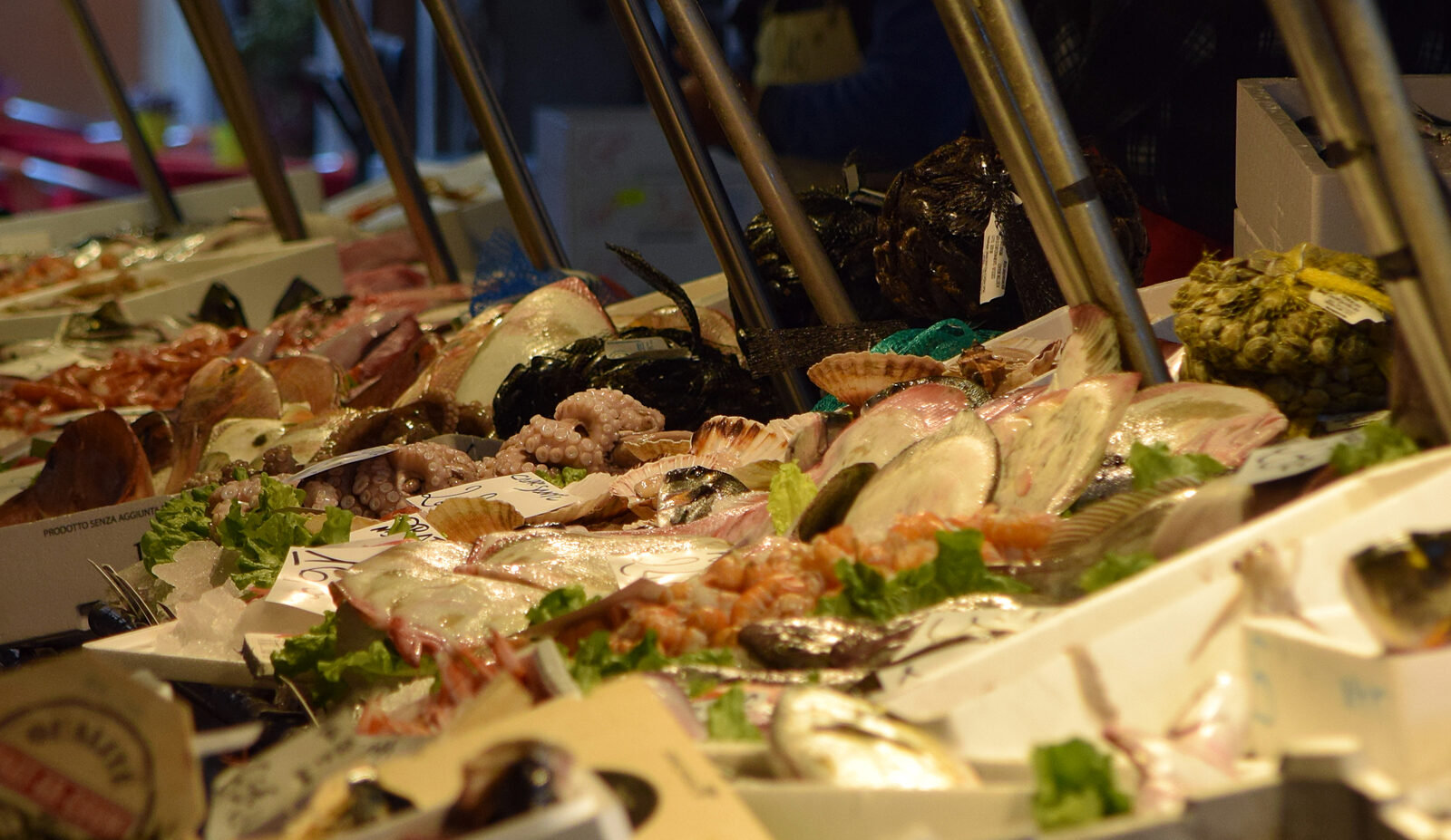 Rialto Market : Most of the fish were caught earlier that same morning