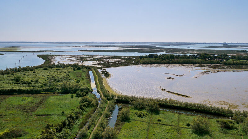 Torcello Campanile : Ok, and now: the views! After all, that’s why you’re here, right? Peaceful, beautiful and wild views.