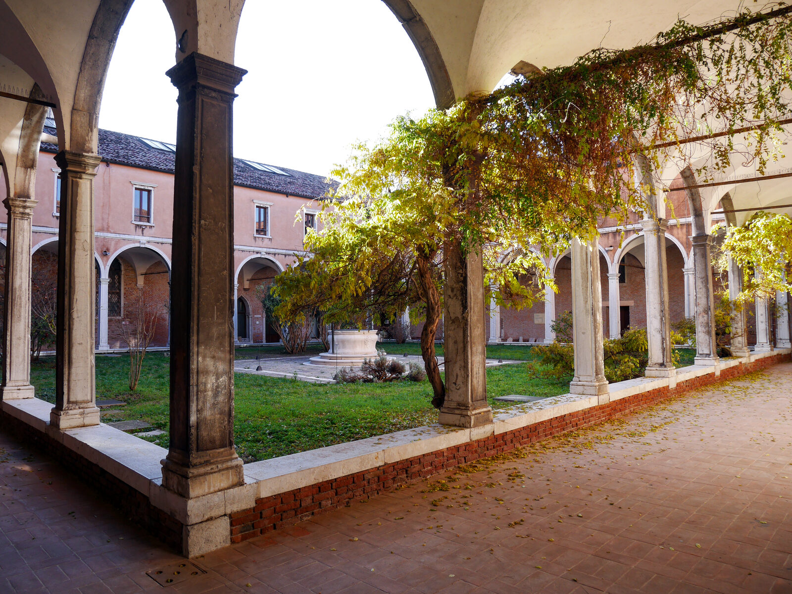 Santa Maria dei Carmini : The cloister of the former monastery