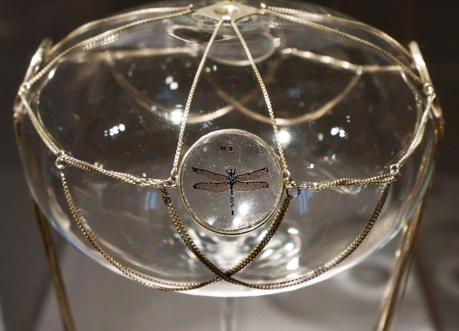 Palazzo Contarini del Bovolo : The temporary exhibitions in the Tintoretto room are often captivating, like this glass dragonfly, crafted with astonishing detail