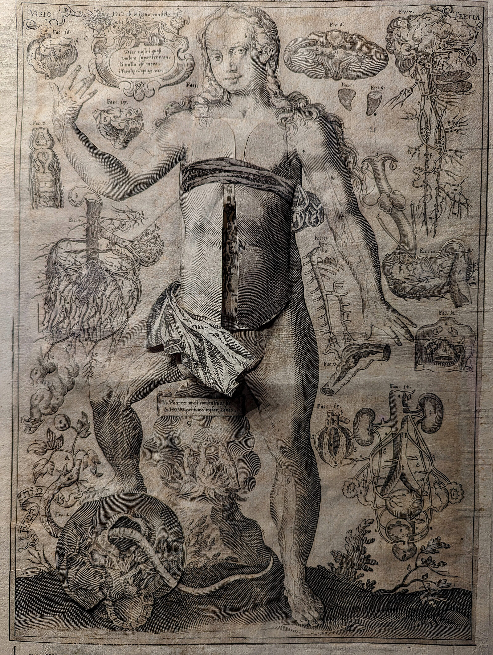 Scuola di San Marco : It's astounding to consider how medicine was understood in ancient times