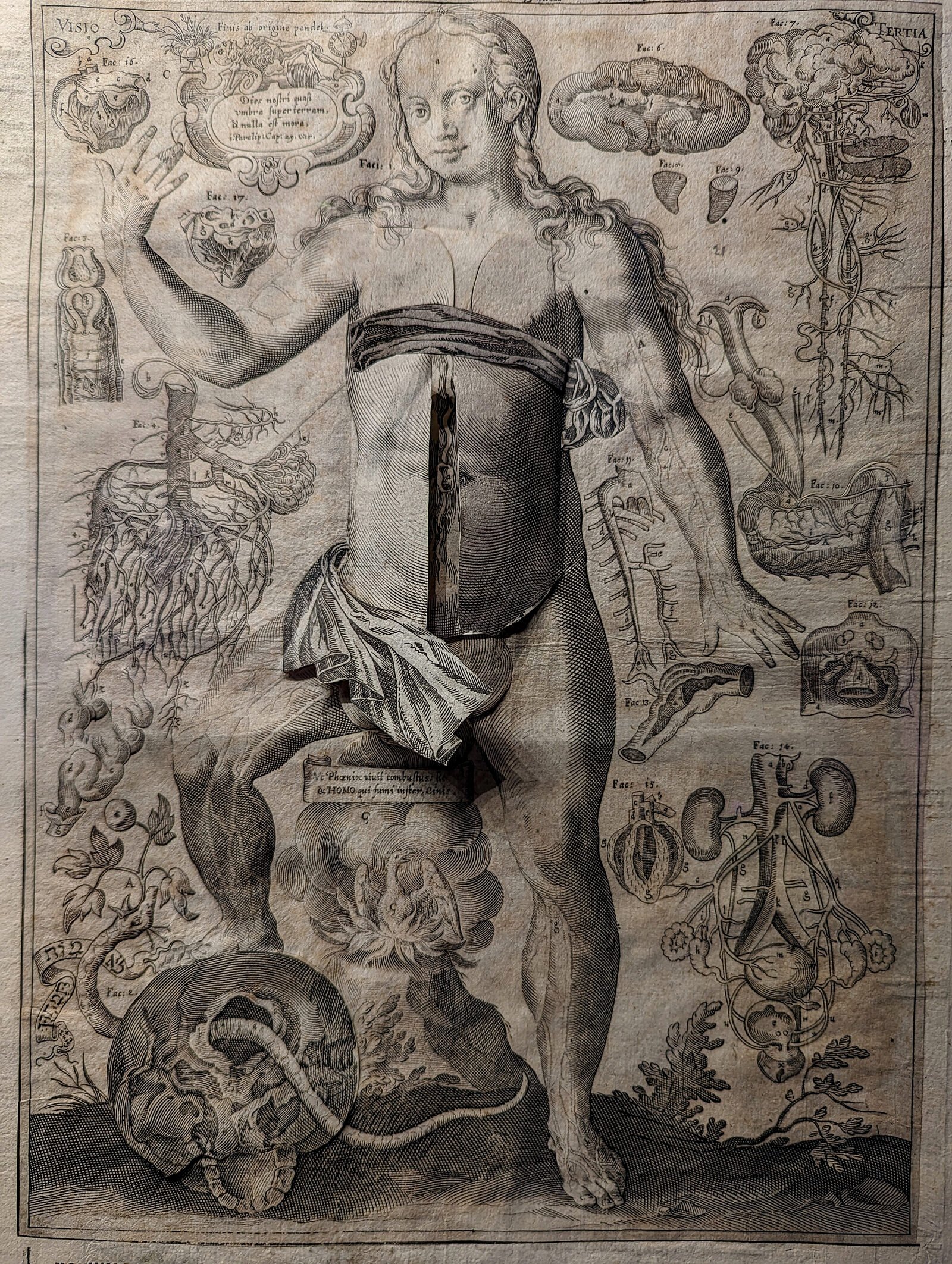 Scuola Grande San Marco : It's astounding to consider how medicine was understood in ancient times