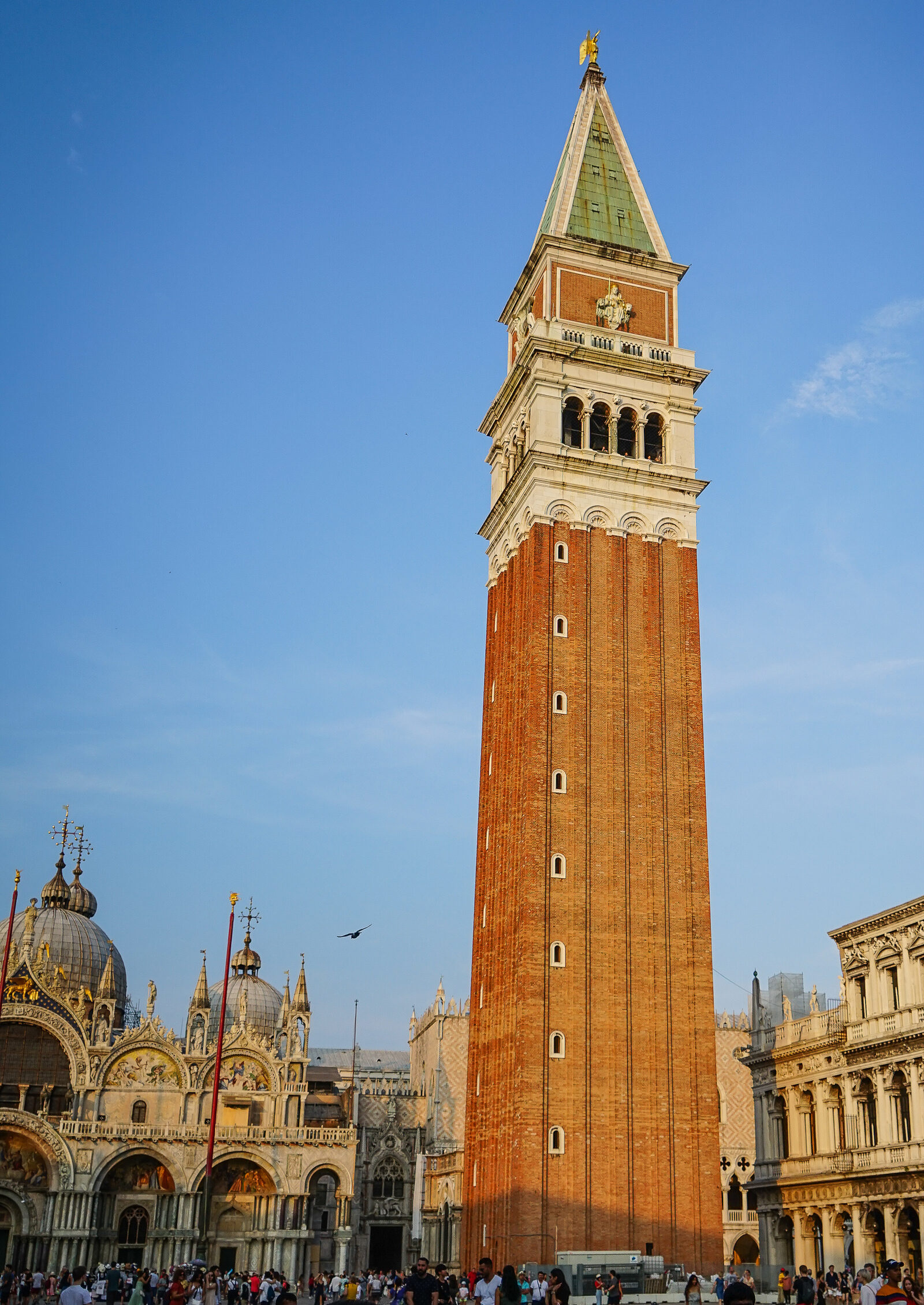 San Marco Campanile : Under the warm light of dusk