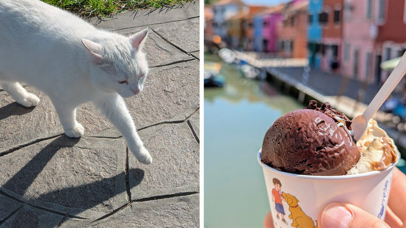Com crianças : Um gato branco em Mazzorbo e gelado em Burano